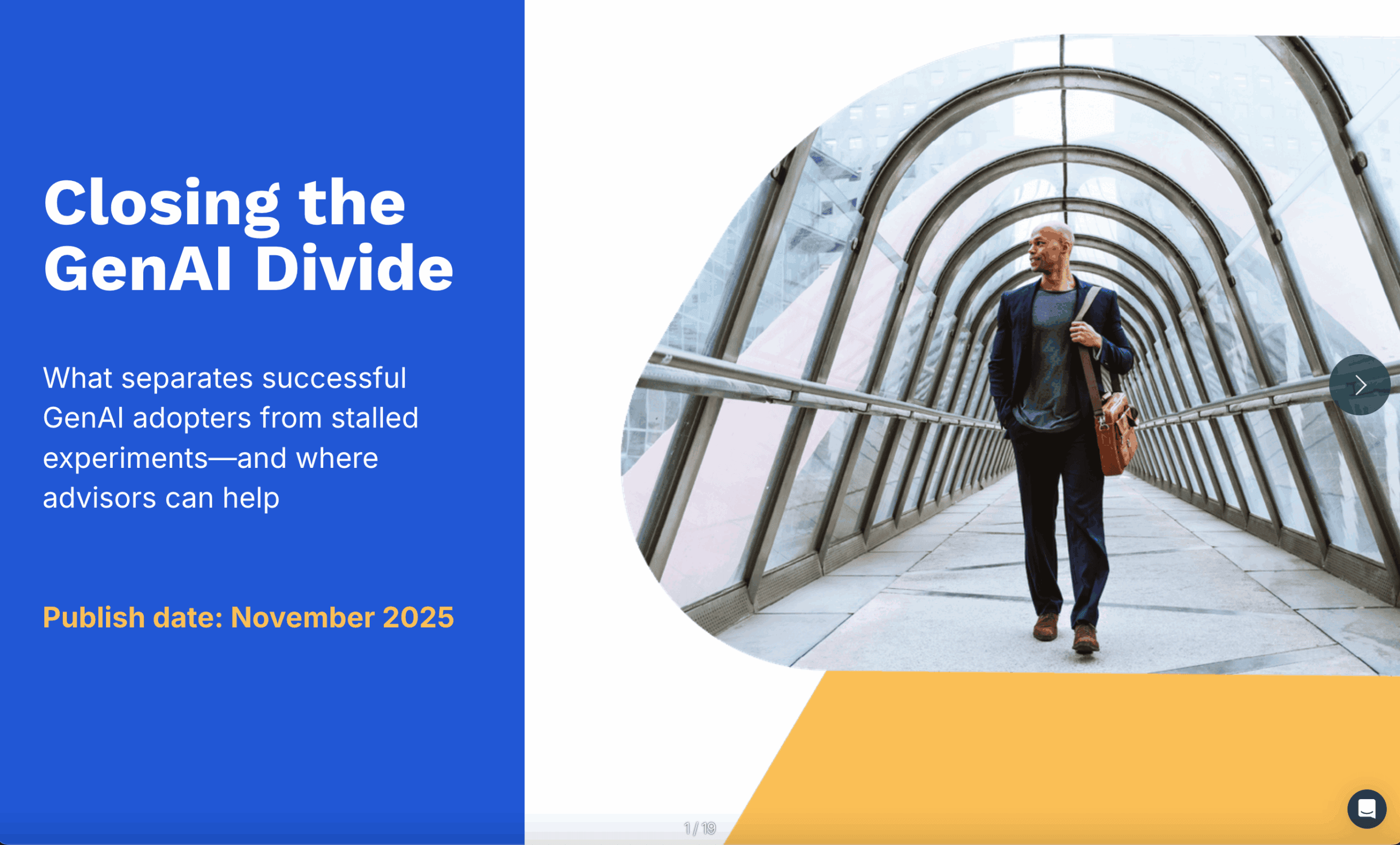 GenAI Divide: Understanding the Growing Gap